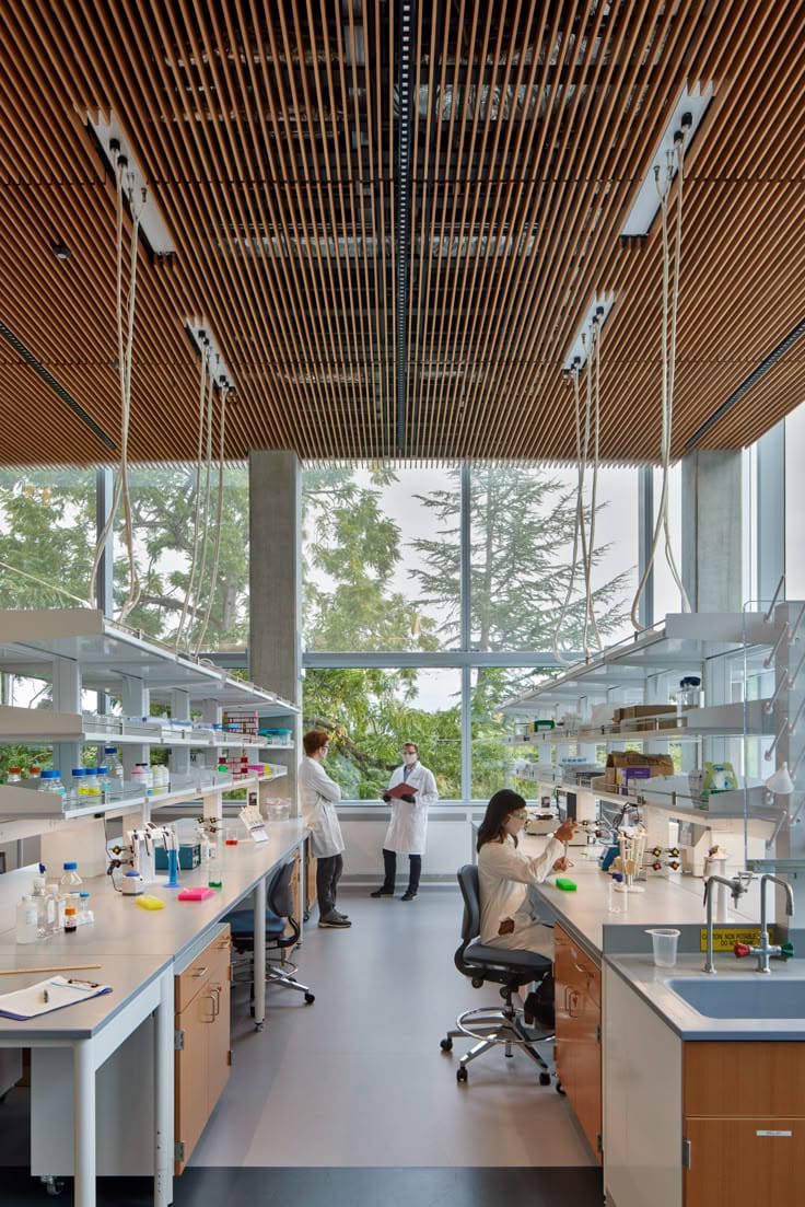 R&D Lab Project 5